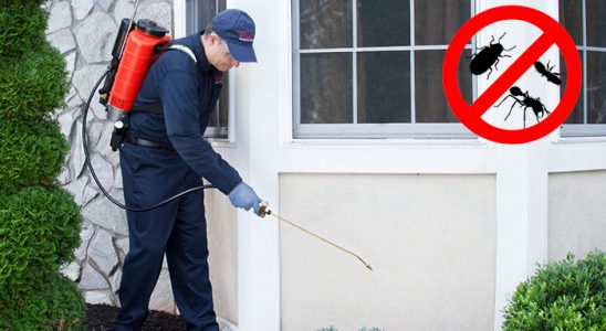 Hocalar Böcek İlaçlama böcek ilaçlama ve haşere kontrolü — ilaclama-tr.com